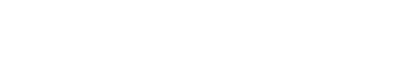 NetEagle